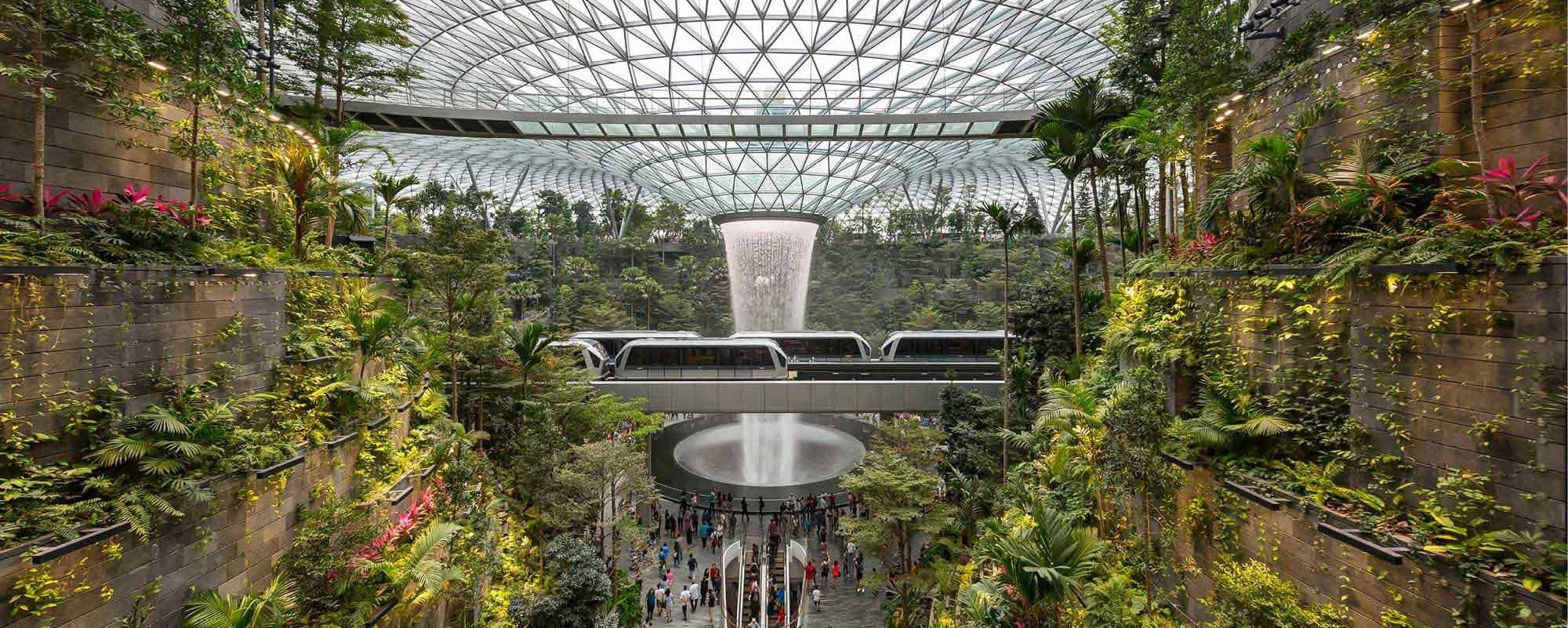 Changi Airport Arrival Proccess